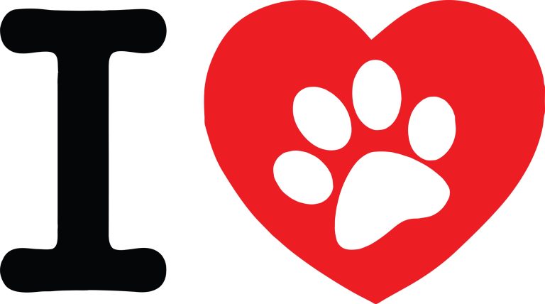 Las leyes que protegen a las mascotas